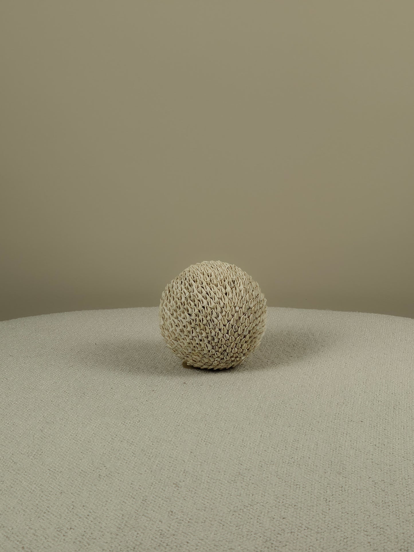 Decorative Shell Ball - Aiden