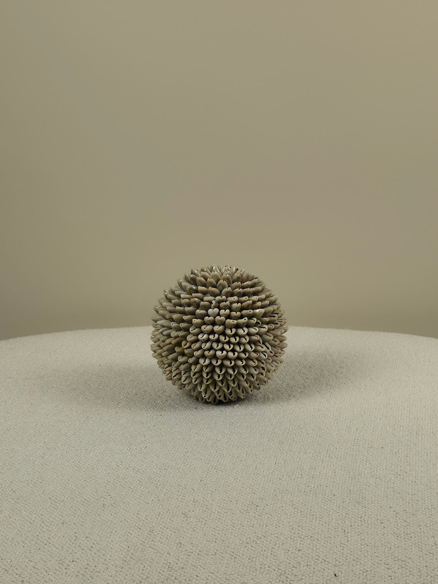 Decorative Shell Ball - Mae