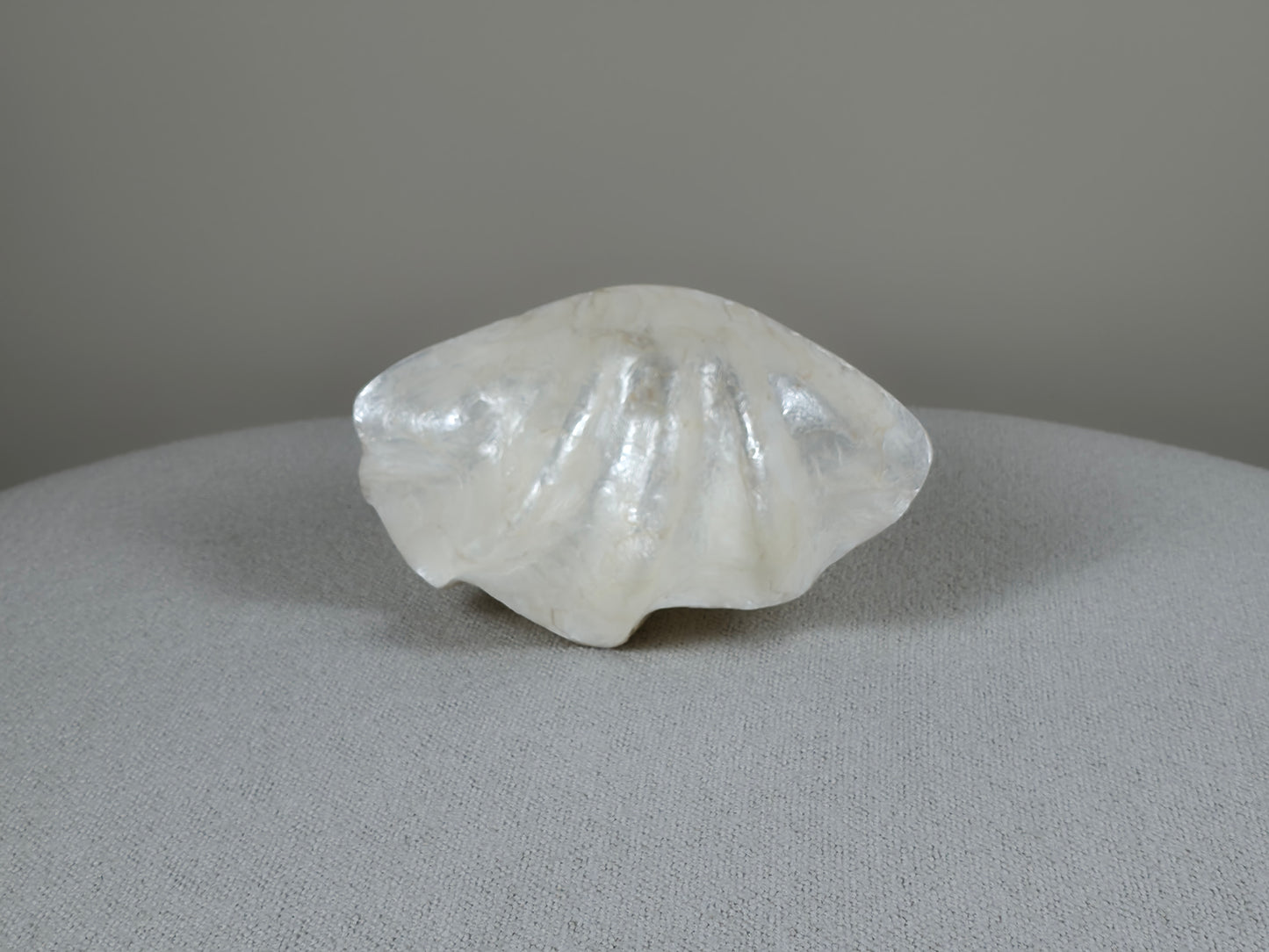 Decoratieve Schelpen Schaal - Jace