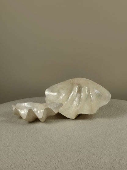 Decoratieve Schelpen Schaal - Jace