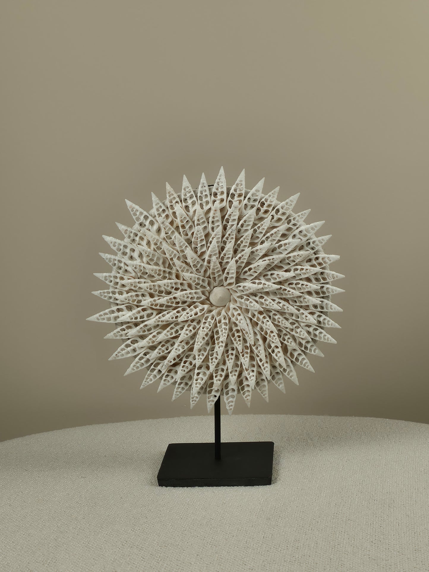 Shell Decoration on Stand - Zara
