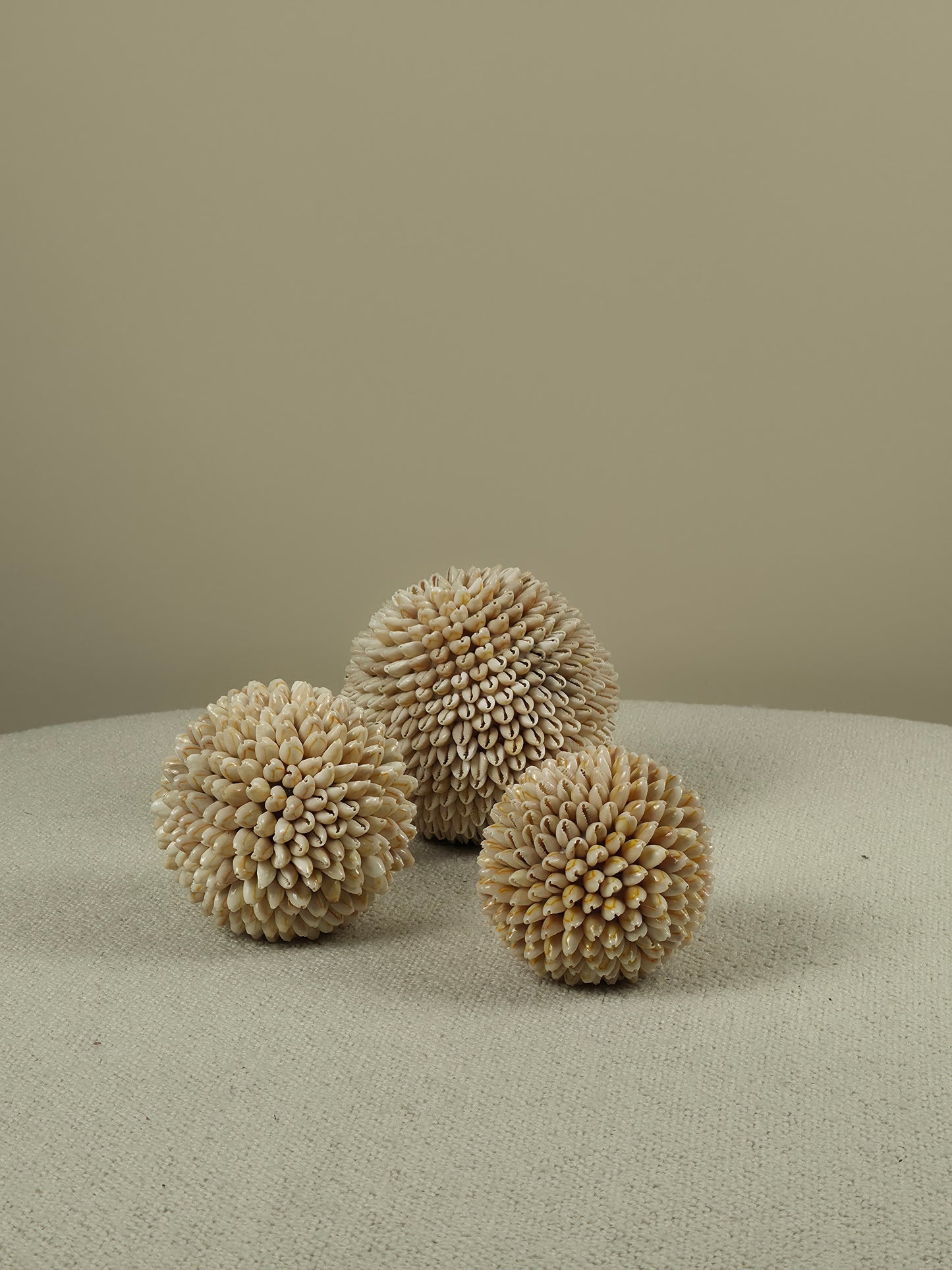 Decorative Shell Ball - Cindy