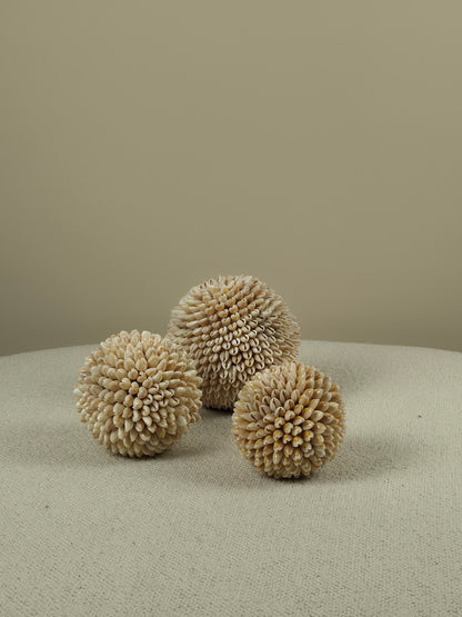 Decorative Shell Ball - Cindy