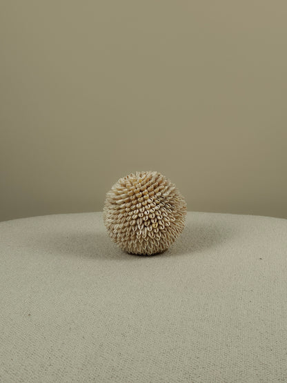 Decorative Shell Ball - Cindy