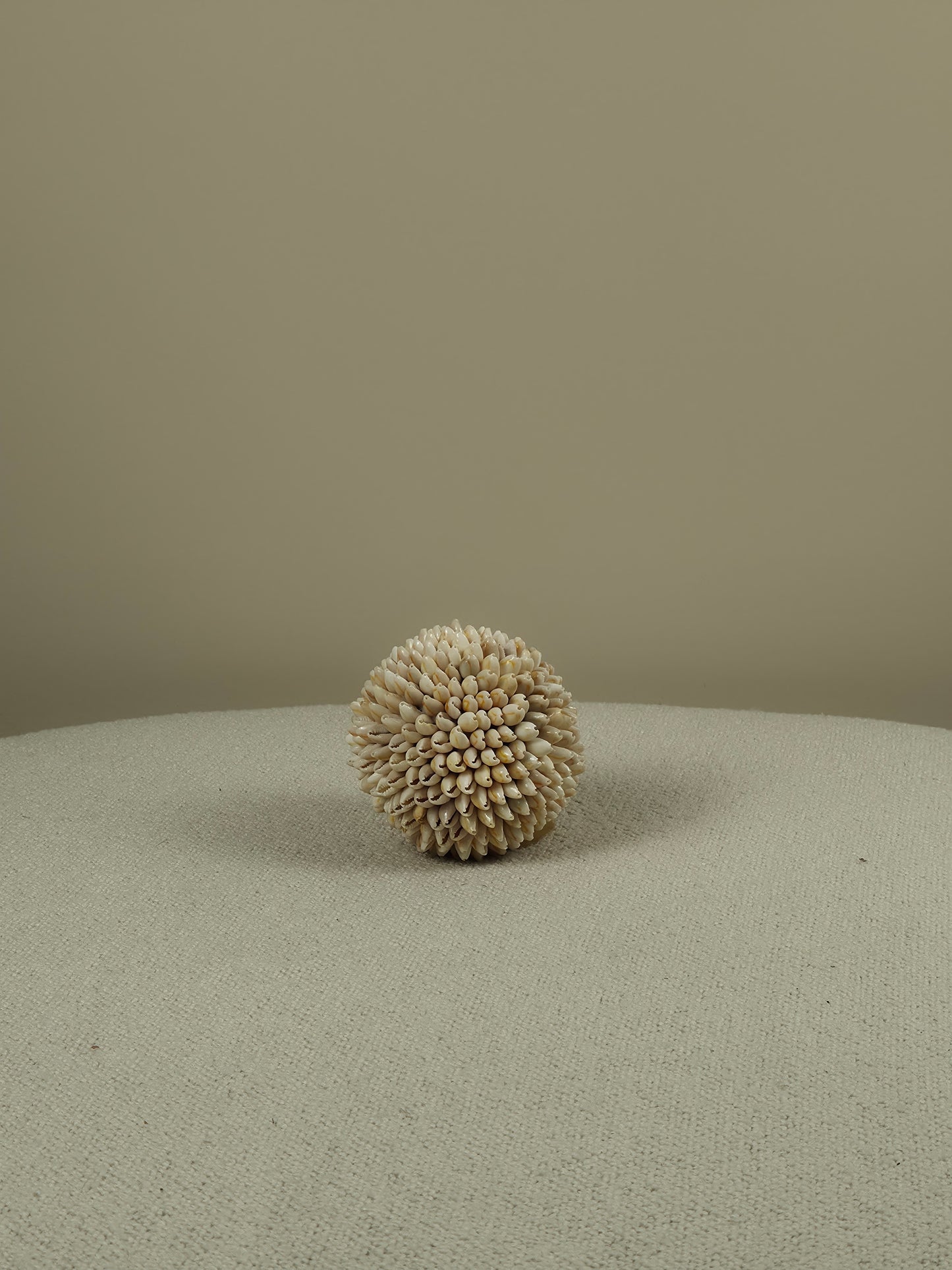 Decorative Shell Ball - Cindy