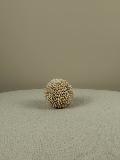Decorative Shell Ball - Cindy
