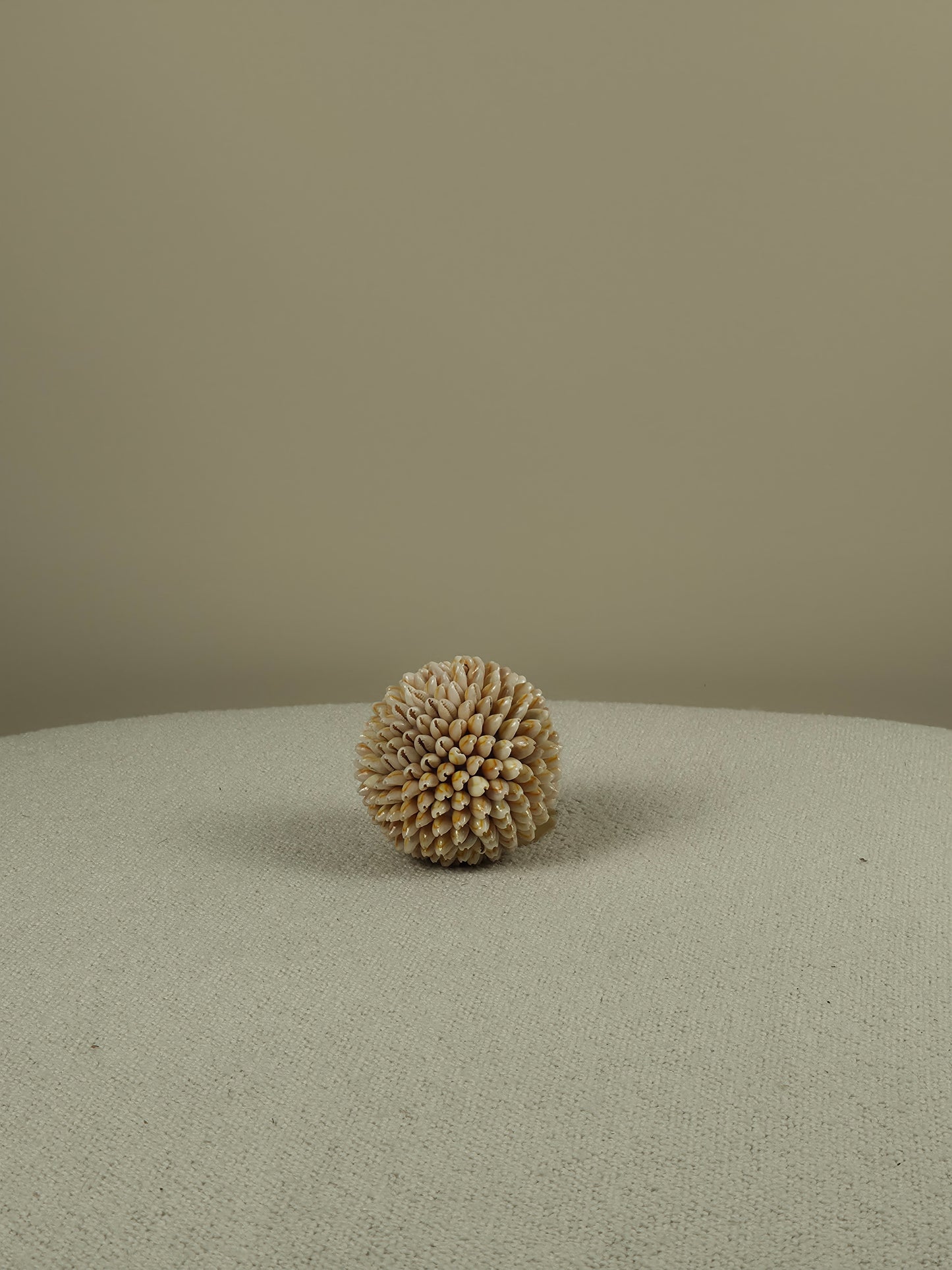 Decorative Shell Ball - Cindy