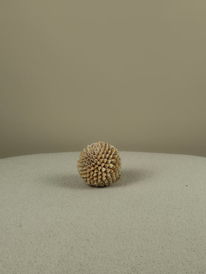 Decorative Shell Ball - Cindy