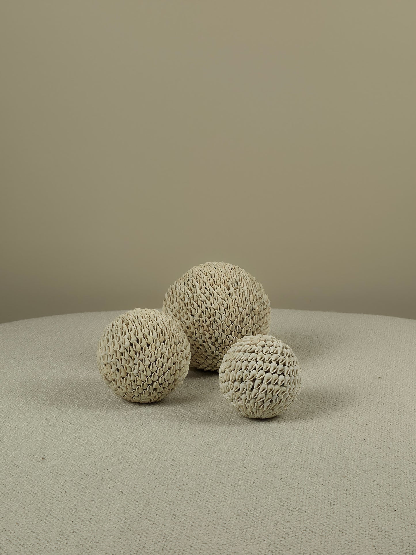 Decorative Shell Ball - Aiden