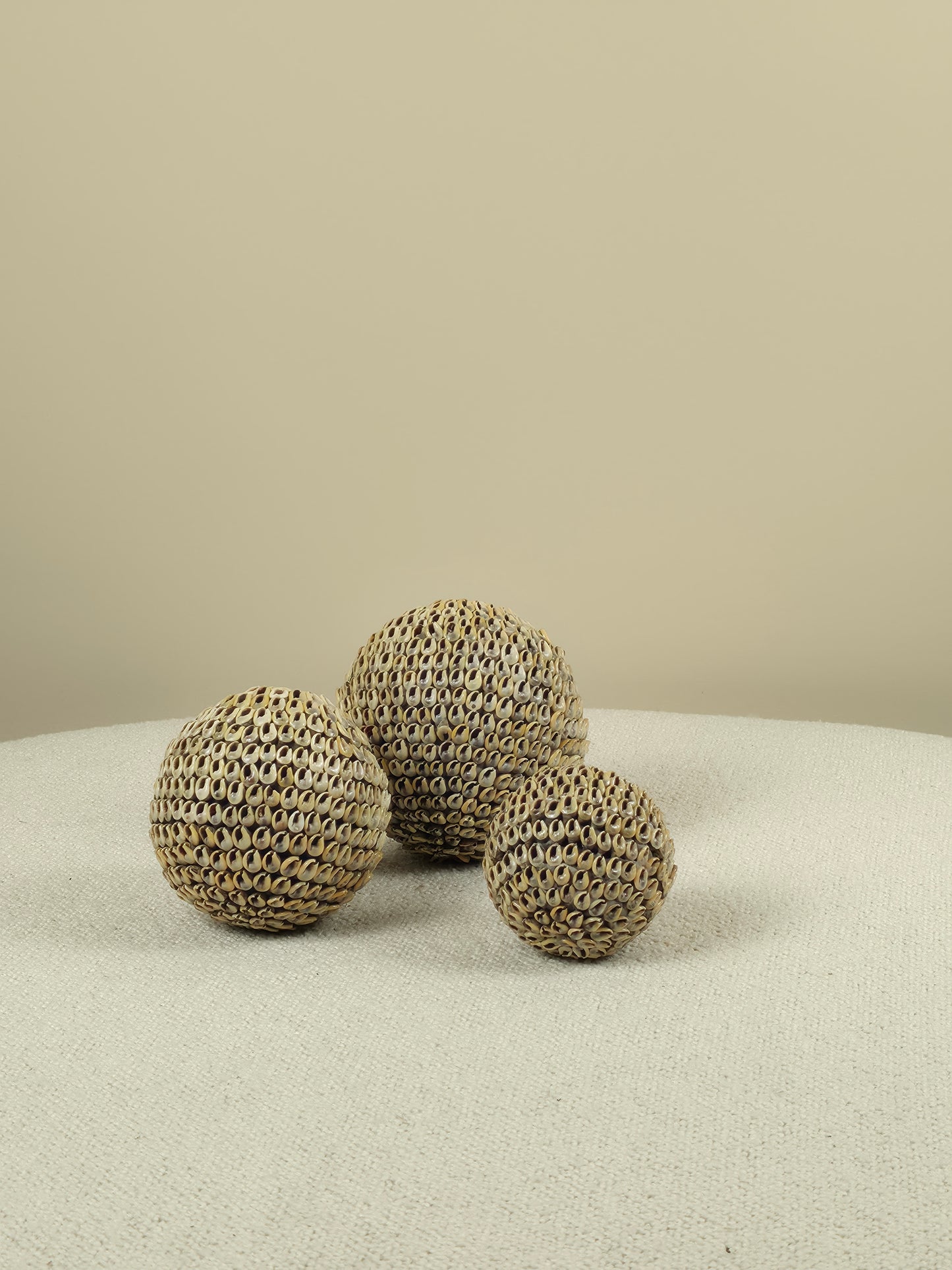 Decorative Shell Ball - Lucas