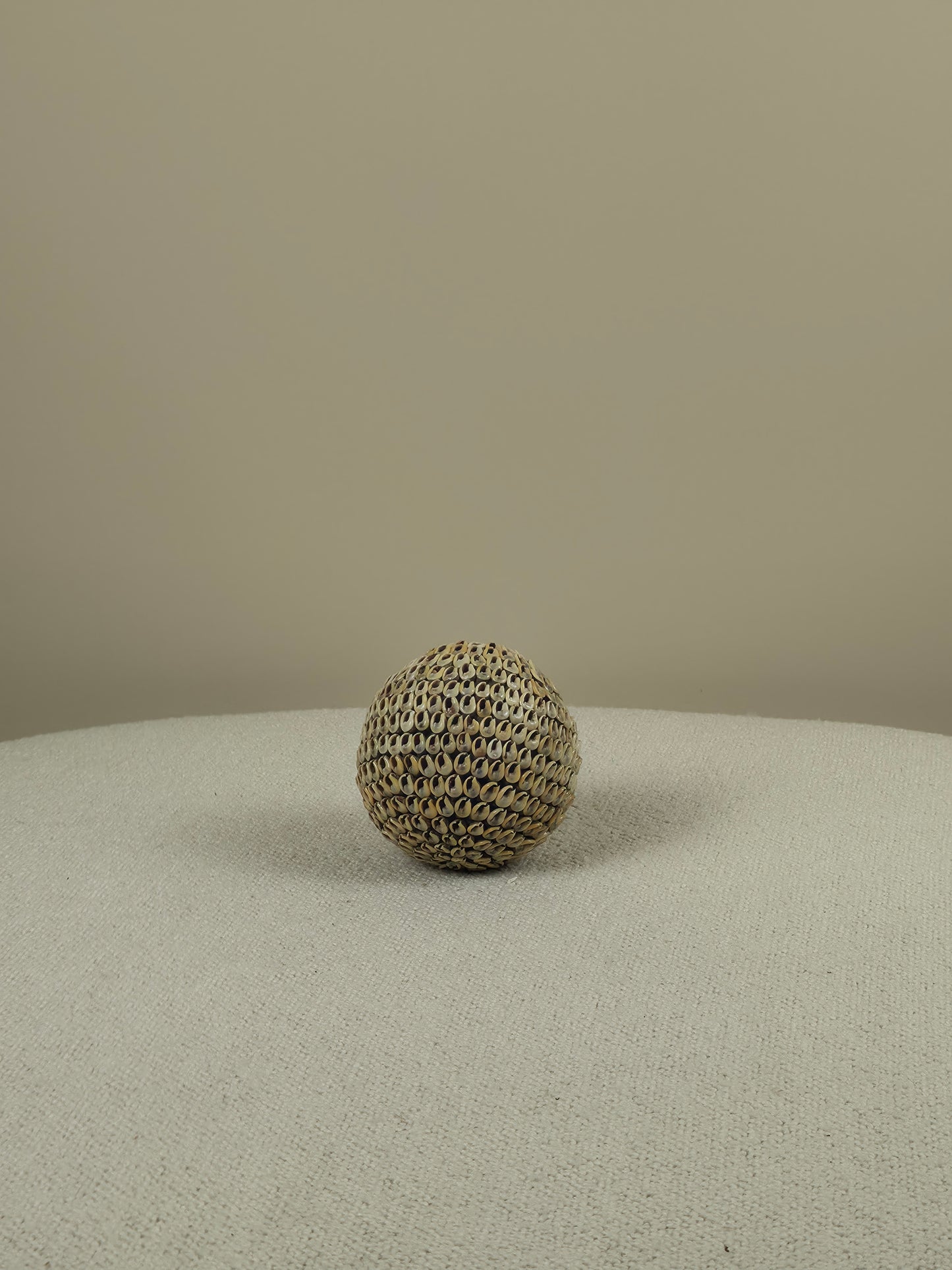 Decorative Shell Ball - Lucas