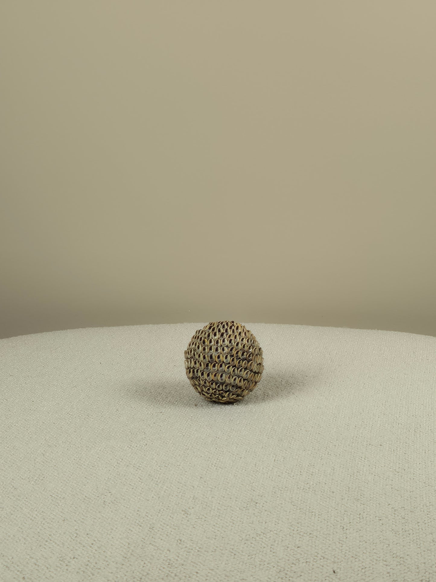 Decorative Shell Ball - Lucas