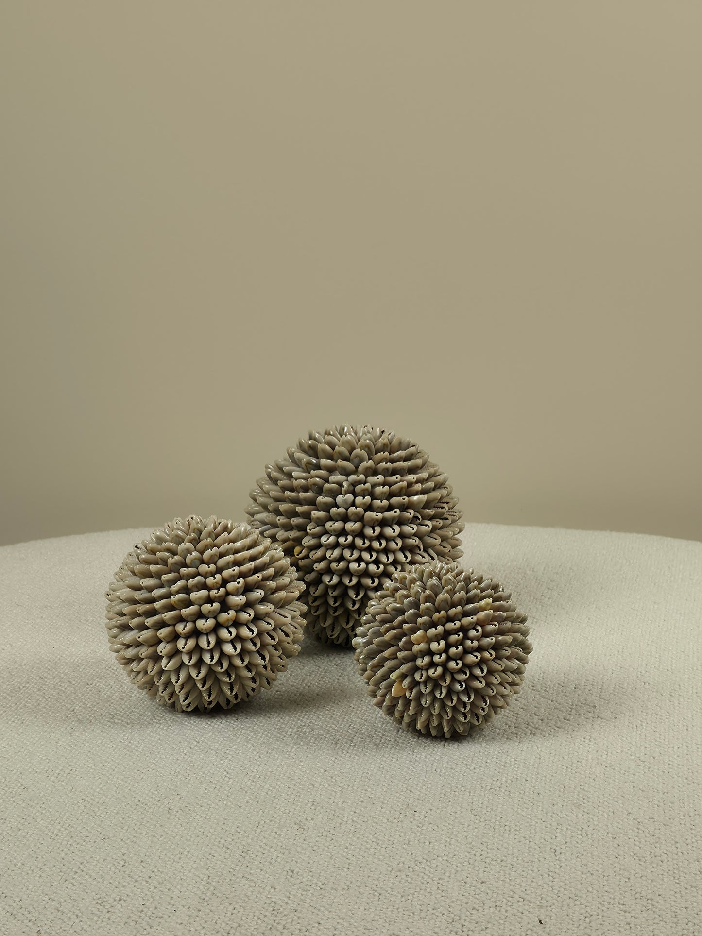 Decorative Shell Ball - Mae