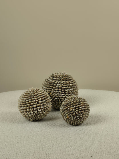 Decorative Shell Ball - Mae