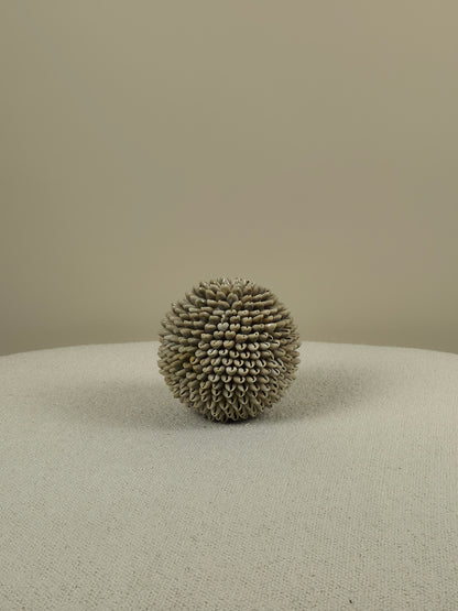 Decorative Shell Ball - Mae