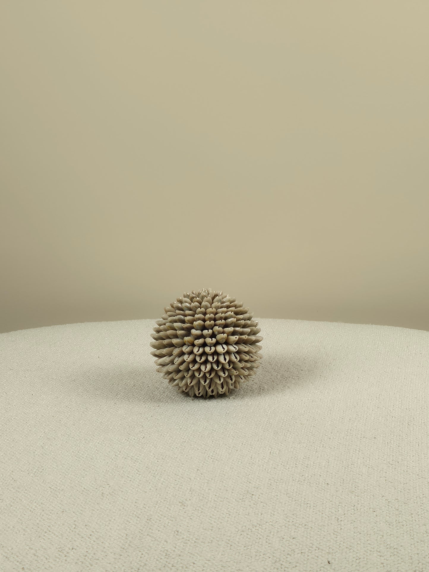 Decorative Shell Ball - Mae