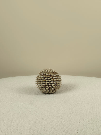 Decorative Shell Ball - Mae