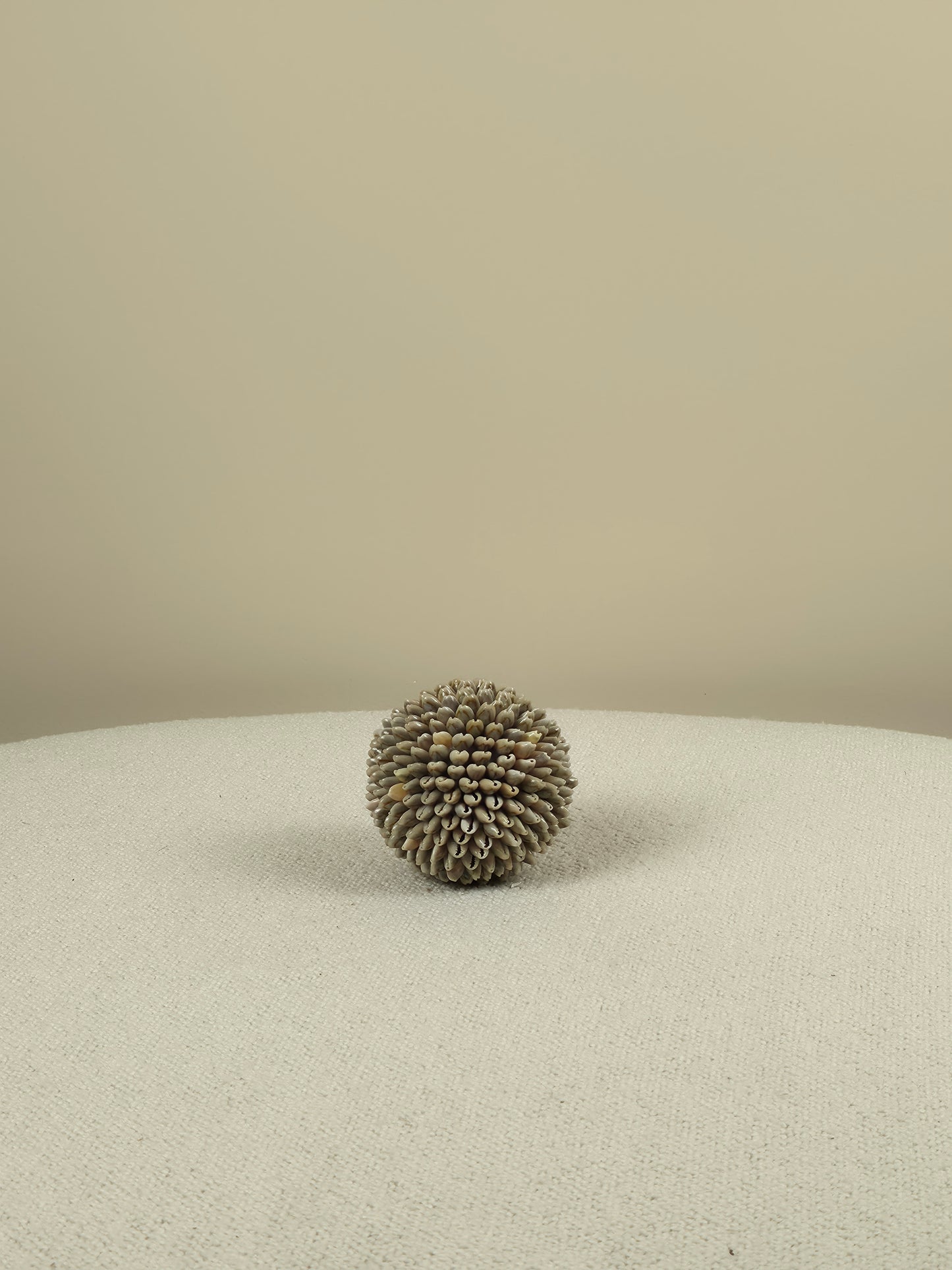 Decorative Shell Ball - Mae