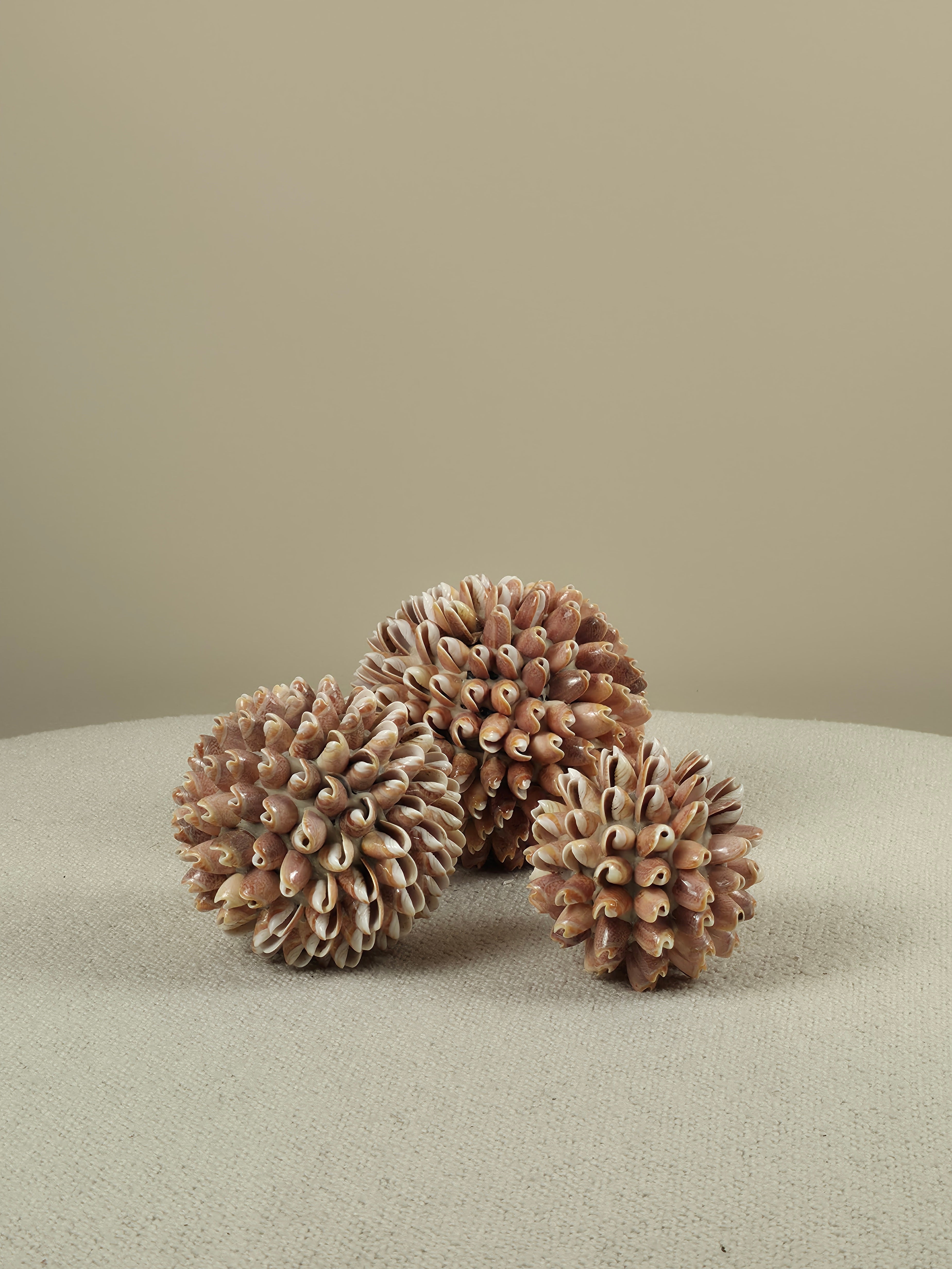 Decoratieve Schelpen Bal - Lynn