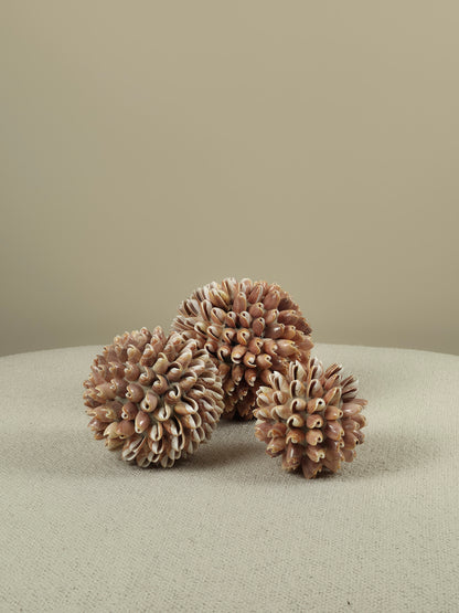 Decoratieve Schelpen Bal - Lynn