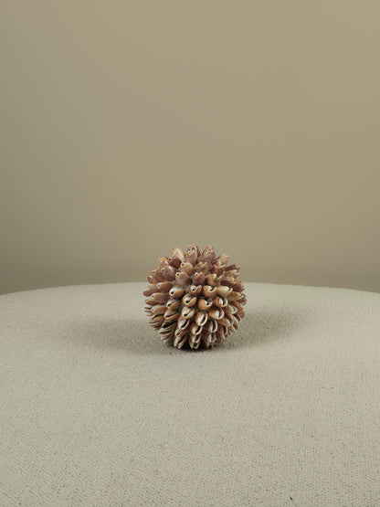 Decoratieve Schelpen Bal - Lynn