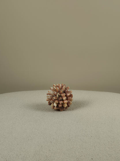 Decoratieve Schelpen Bal - Lynn