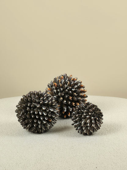 Decorative Shell Ball - Mocca